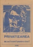 Privatizarea - De ce? Cum? Pentru cine? Constantin Cojocaru, Hermes - Carte Economie