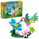 Animale salbatice: Colibri colorat
