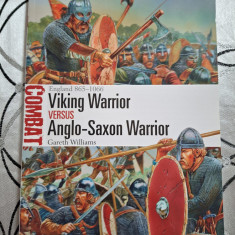 Viking Warrior vs Anglo-Saxon Warrior - England 865–1066