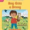 Roy Gets a Decoy