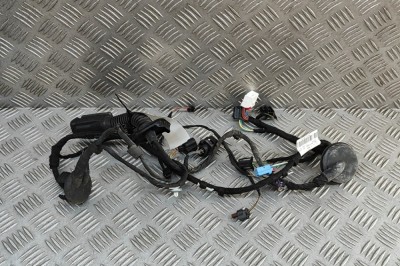 Cablaj ușă dreapta spate AUDI Q7 4M 2016 OEM: 4M0971687FC | 32066127 foto