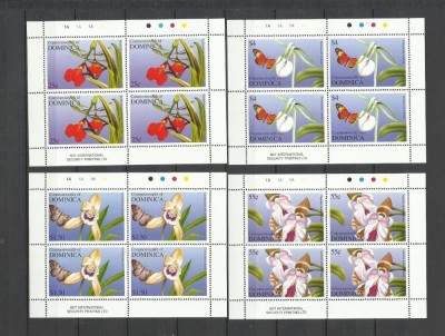 DOMINICA 2004 FAUNA SI FLORA ORHIDEE SI FLUTURI foto