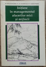 Initiere in managementul afacerilor mici si mijlocii - M. Moldoveanu