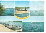 carte postala-DELTA DUNARII-colaj