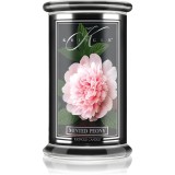 Kringle Candle Reserve Minted Peony lum&acirc;nare parfumată 623 g