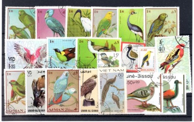 Fauna, Pasari, lot uzat, stampilat foto