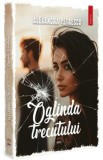 Oglinda Trecutului - Alexandra Petrescu