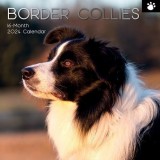 Border Collies - 2024 Square Wall Calendar