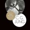 Introduction to Jungian Psychology: Notes of the Seminar on Analytical Psychology Given in 1925