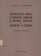 Organizarea muncii la reparatia sondelor in brigada complexa de extractie a titeiului (traducere din limba rusa) foto