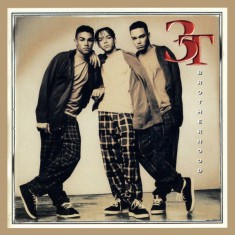 CD 3T &ndash; Brotherhood (VG+)