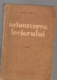 C8461 INTOARCEREA FECIORULUI DE AUREL LAMBRINO