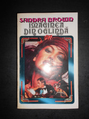 SANDRA BROWN - IMAGINEA DIN OGLINDA foto