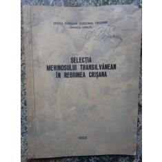 SELECTIA MERINOSULUI TRANSILVANEAN IN REGIUNEA CRISANA