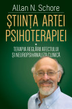 Stiinta artei psihoterapiei. Volumul I | Allan N. Schore, Herald