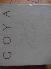 Goya - Vasile Florea ,520878 foto