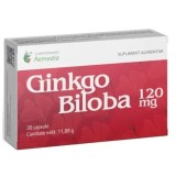 GINKGO BILOBA 120MG 30CPS, REMEDIA