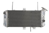 Cumpara ieftin Radiator pentru SUZUKI SV 650 2005-2015