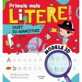 Primele mele litere de tipar, Caiet cu adancituri