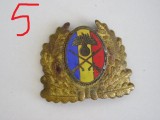 QW14 - Emblema militara / cuc - uscat - anii 1990 - piesa de colectie