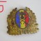 QW14 - Emblema militara / cuc - uscat - anii 1990 - piesa de colectie