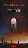Druidul - 2011 - Vasile Mitu (@S14)