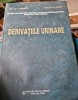 I. Sinescu - Derivatiile Urinare