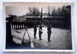 P040 FOTOGRAFIE RAZBOI WWII MILITARI TRUPE RAD REICHSARBEITSDIENST 9/6,2cm