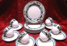 SET SERVICIU CAFEA SI TORT PORTELAN ESCHENBACH BAVARIA DECOR AMAZONIA EISVOGEL CESTI CAFEA SI FARFURII