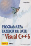 Cumpara ieftin Programarea bazelor de date cu Visual C++6 de Lyn Robinson