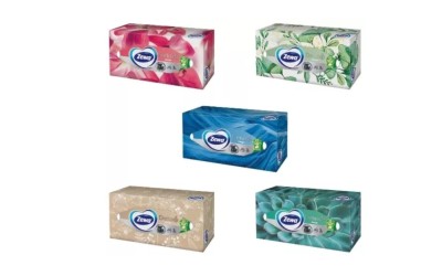 Servetele faciale Zewa Deluxe Design 3 straturi 5 cutii cu 90 bucati foto