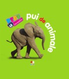 Pui de animale. Bebe &icirc;nvață