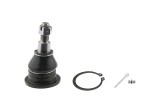 Rotula brat suspensie Honda Accord Cu2 2008-, Spate Superior, NTY ZST-HD-001