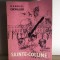 Gabriel Chevallier - Sainte-Colline