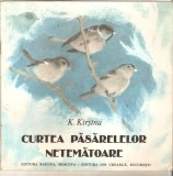 Curtea pasarelelor netamatoare-K.Kirsina