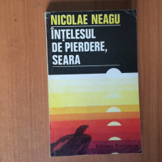 k1 Nicolae Neagu - Intelesul de pierdere seara