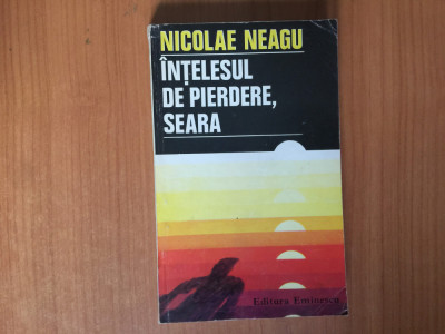k1 Nicolae Neagu - Intelesul de pierdere seara foto