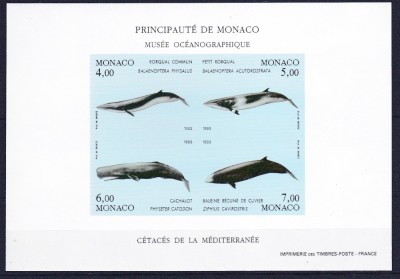 DB1 Fauna Marina Balene 1993 Monaco SS NDT MNH foto