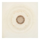 Cumpara ieftin Tablou canvas Circled Inart, Pako World, 80x3x80 cm