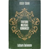 TERITORII MUZICALE ROMANESTI. DIALOGURI. EVOCARI-IOSIF SAVA-236863