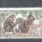 Mauritania 1963 Animals, used AE.273