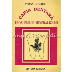 Caria Dentara. Problemele Mineralizarii - Stefan Lacatusu