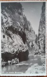 Carte postala, Regiunea lacului Ghilcos, la Cheile Bicazului, 1935
