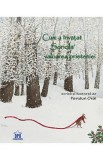 Cum a invatat soricila valoarea prieteniei - Feridun Oral