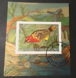 Comore &ndash; Pasăre exotică, bloc filatelic ștampilat 500F &ndash; Faună, păsări &ndash; A40