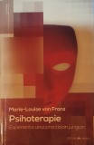 Marie Louise von Franz, Psihoterapie. Experienta unui practician Jungian (Psihologie Jungiana, Arhetipuri, Simbolism, Feminin, Anima, Inconstient)