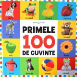 Bebe invata. Primele 100 de cuvinte