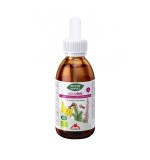 Mix din 4 Plante Urin Tract Urinar Bio 50ml Dieteticos Intersa