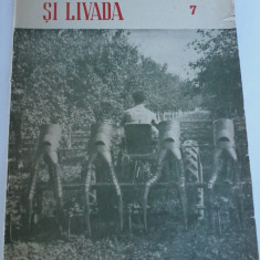 Gradina, via si livada. Revista lde stiinta si practica hortiviticola nr.7/1958