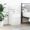 vidaXL Noptiere cu 2 sertare 2 buc Alb 38x34x80 cm 861356